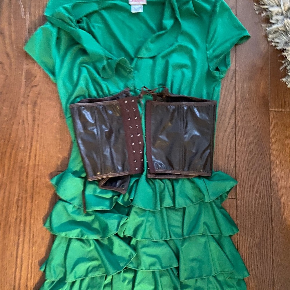 Robin Hood costume